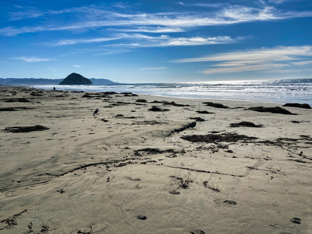 sandy beach with small waves and piles of kelp under blue sky with Morro rock in the distant background