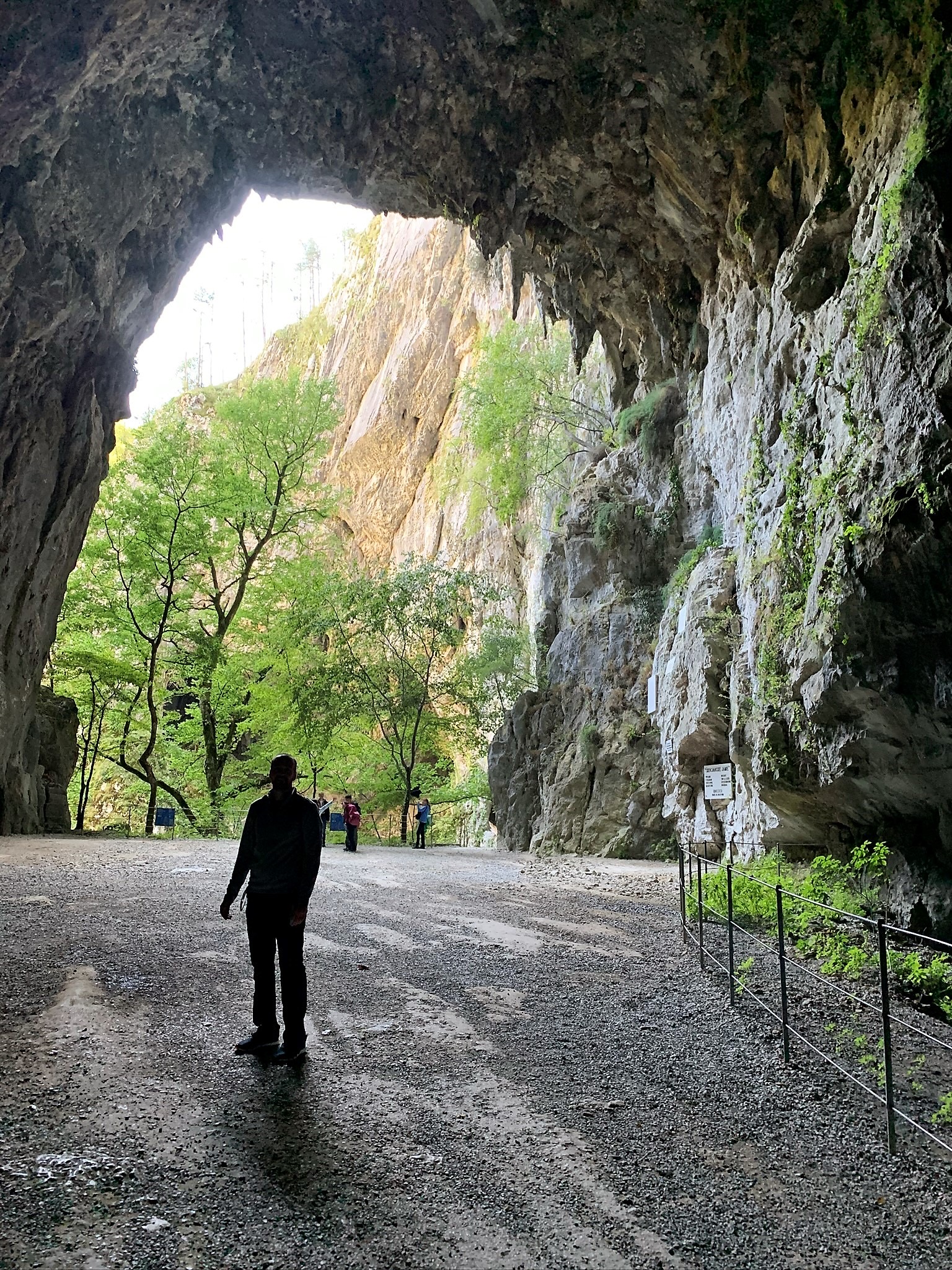large cave opening with green trees and silhouette of man 
