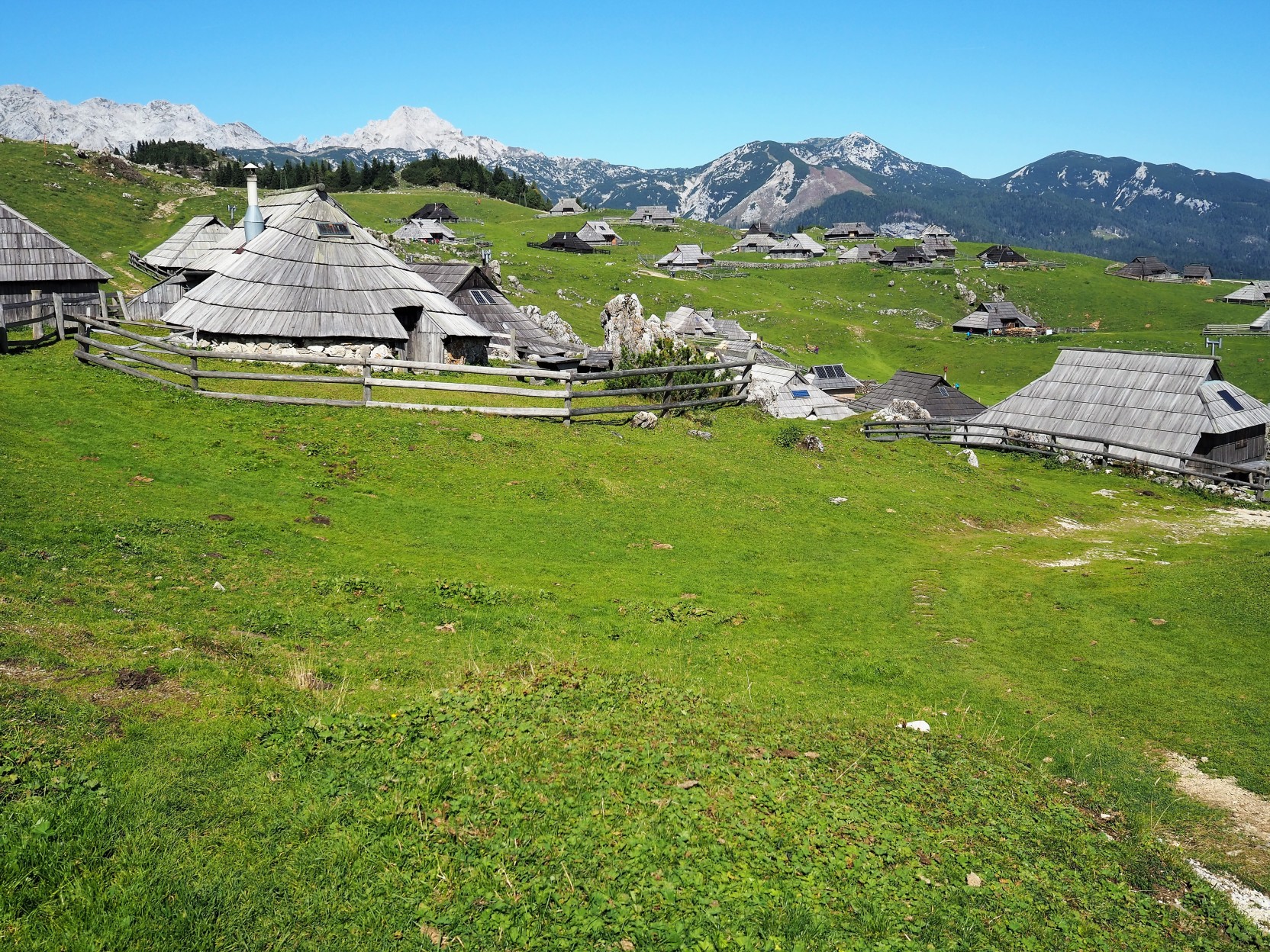 slanted roof dwellings for herdmens with green grass and Alps in background